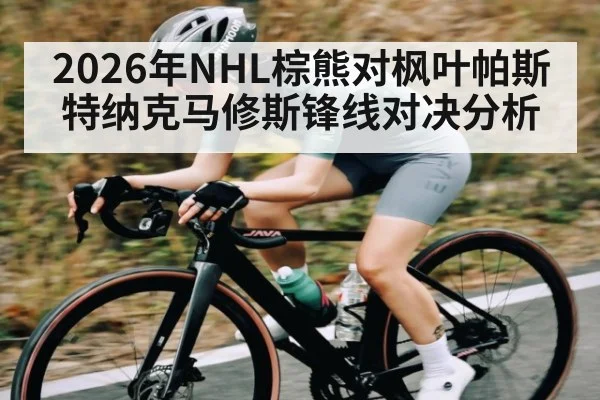 2026年NHL棕熊对枫叶帕斯特纳克马修斯锋线对决分析
